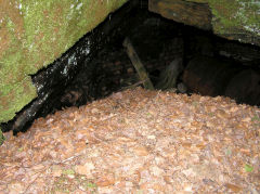 Old Kendon Colliery, May 2010
